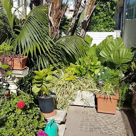 Casa Nancy *
